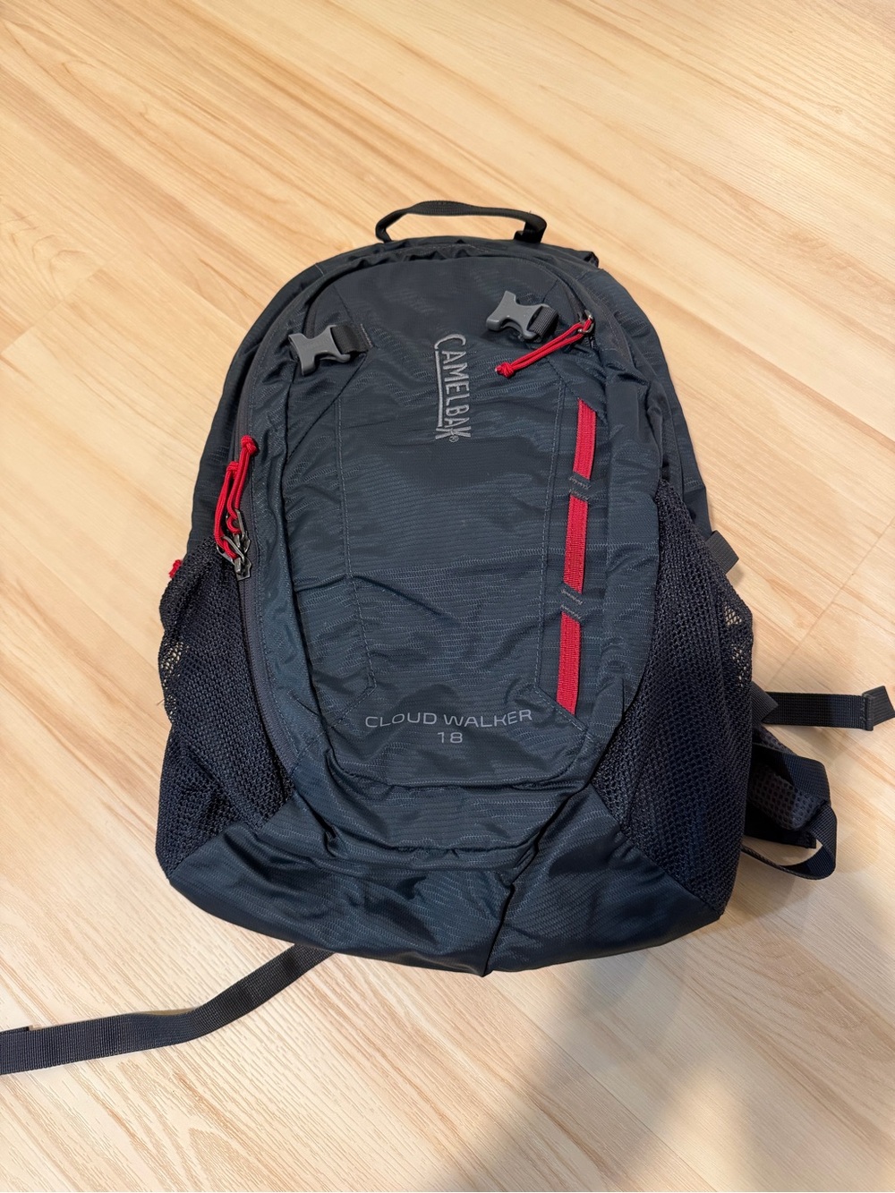 CamelBak Black Backpack with Red Accents